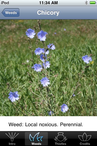 Noxious Weeds of South Dakota screenshot-3