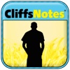 The Catcher in the Rye - CliffsNotes