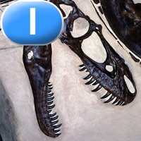 Discovering Dinosaurs - LAZ Reader Level I–first grade