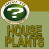 Houseplants – ‘How to’ Gardening – Films4Phones