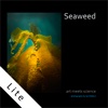 seaweed - Art meets science for Iphone lite