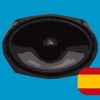 CAR AUDIO (Español)