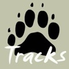 Mammal Tracks