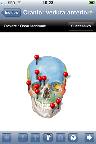 Netter Flashcards: Testa e Collo LITE screenshot 3