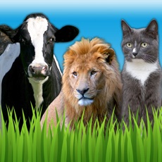 Activities of Animal Sounds - Zoo, Pet and Farm Sounds