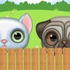 Silly Pets - Cats vs Dogs, Hidden Kittens, Cute Puppies, Hide and Seek