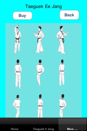 Taekwondo Personal Trainer(圖3)-速報App