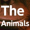 The Animals For iPad