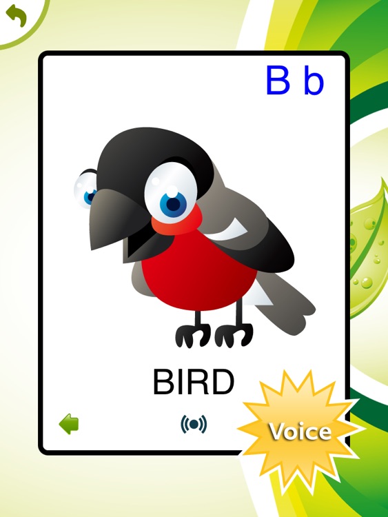 ABC Animal Cartoon Flashcards HD