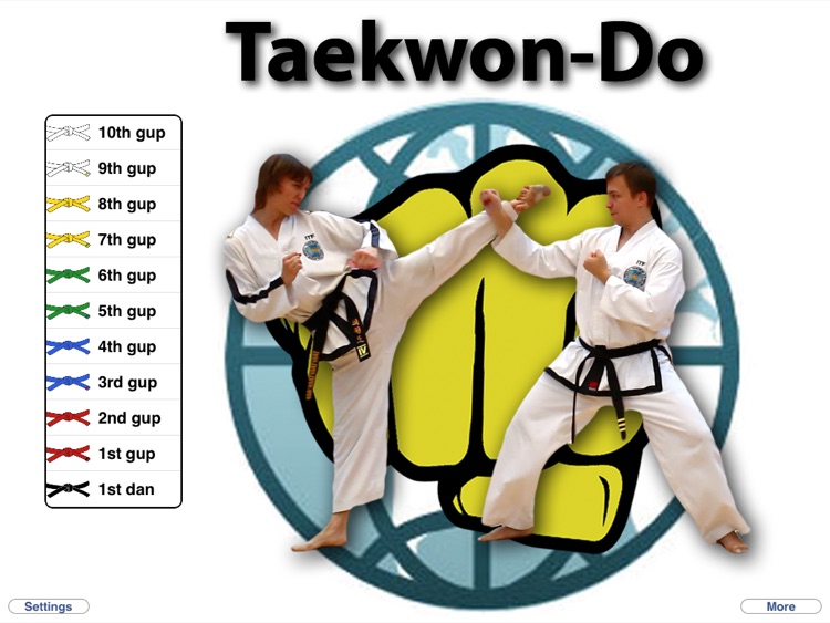 Taekwon-Do HD