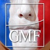 GMF Tattoo