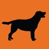 Puppy and Dog Trainer (Italian)