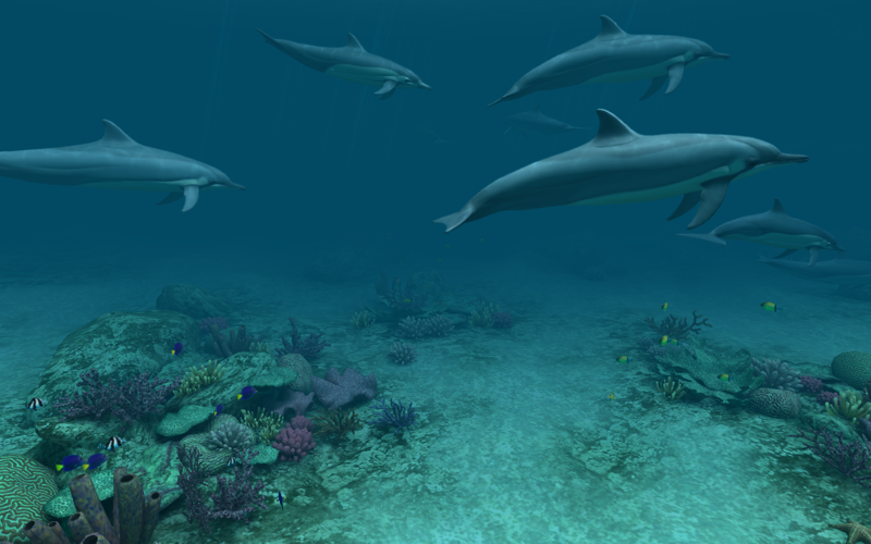 Скриншот из Dolphins 3D