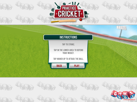 Practice Cricket screenshot 2