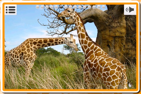 Flash Cards Spanish Free