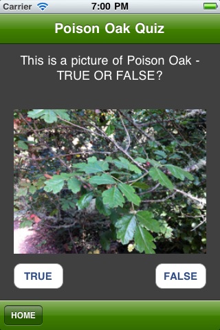 Poison Oak Quiz