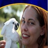 Pet Birds - Your Pet Bird And You!