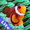 Colorful Aquarium for iPad Lite