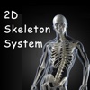 2D/3D Skeletal System