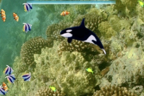 Laser Shark Free screenshot-1