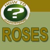 Roses – ‘How to’ Gardening – Films4Phones