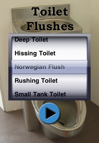 Toilet Flushes