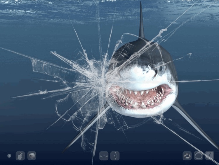 Talking Great White HD - for iPad screenshot-4