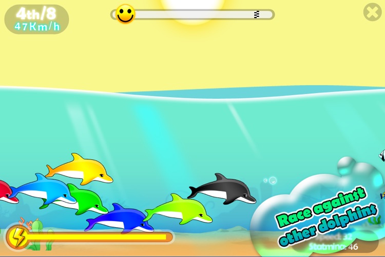 Pocket Dolphin Racing