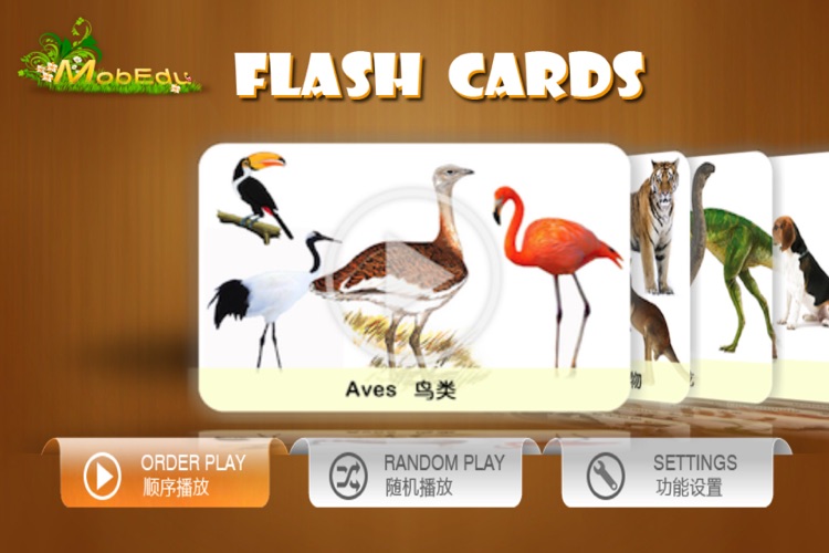 Kids Animal Flash Cards