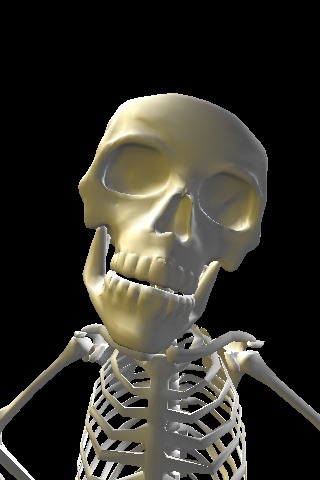 Skeleton 3D Bobblehead