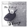 Life of Sheep