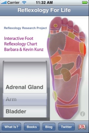 ReflexologyChart