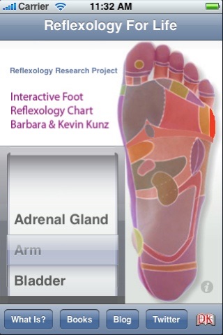 Reflexology Interactive Foot Chart