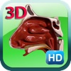 3D Human Nose HD