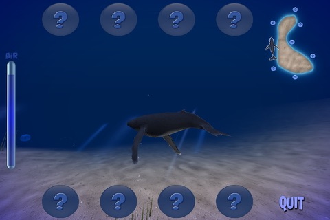 Humpback Whale Lite screenshot 3