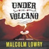 Under the Volcano (by Malcolm Lowry)