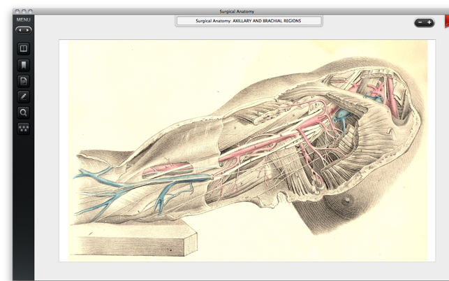 Surgical Anatomy - Premium Edition(圖3)-速報App