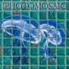 PhotoMosaic