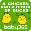麦粒认知绘本-一只小鸡和一群小鸭-baby365