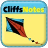 The Kite Runner - CliffsNotes