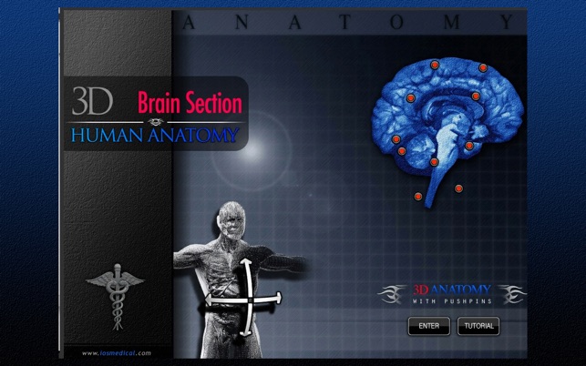 Brain Section 3D(圖2)-速報App