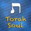 Torah-Soul