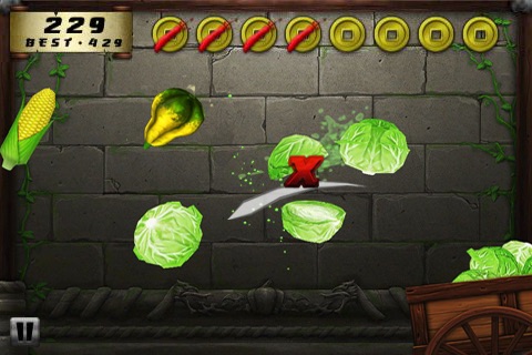 Veggie Samurai screenshot-3