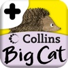 Collins Big Cat: It Was a Cold, Dark Night Story Creator