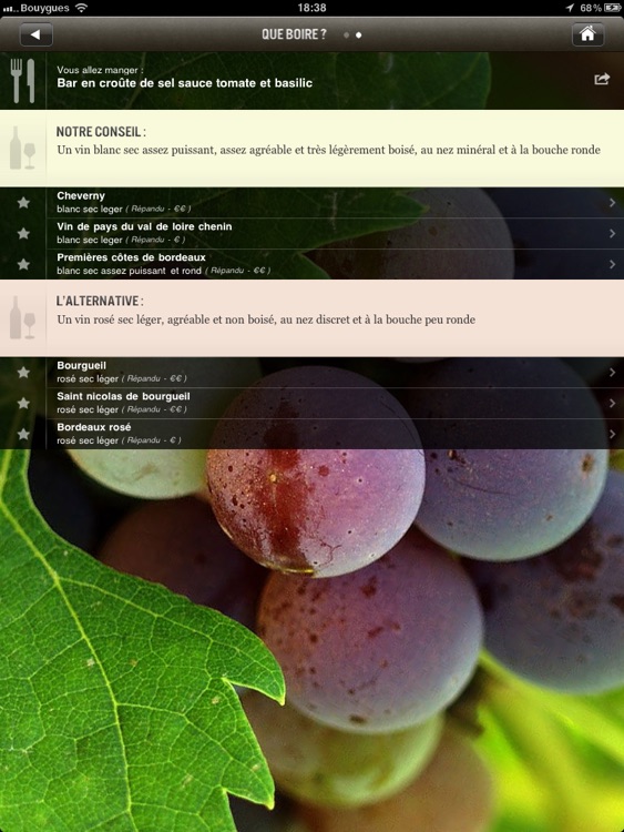 Que Boire? Que Manger? Une infinité d'accords mets-vins sur votre iPad!