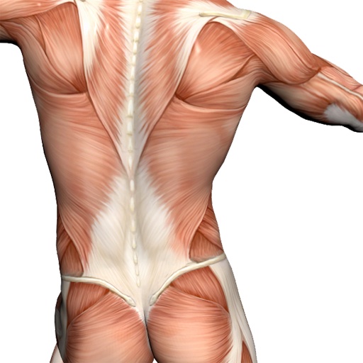 Back Pain Relief from CORE Physical Therapy