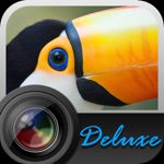 Aisu Deluxe Camera
