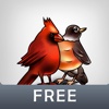 Birdary Free