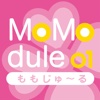 MoModule 01