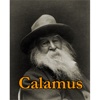 Calamus by Walt Whitman